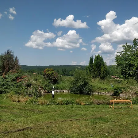 Maison Pechauzi * Castelnau-de-Montmiral