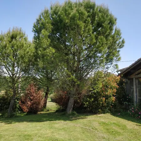 Maison Pechauzi * Castelnau-de-Montmiral